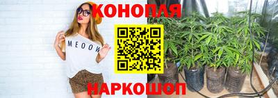 молекула духа Рузаевка