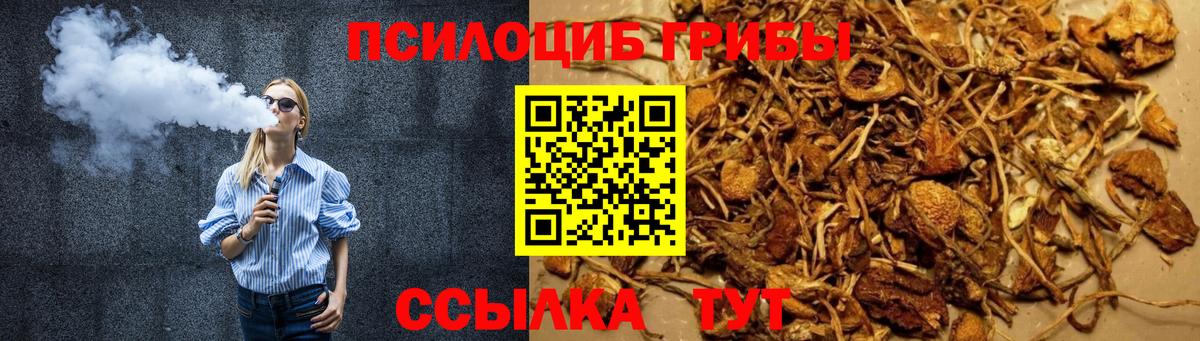 Галлюциногенные грибы прущие грибы  Вход с VPN  Новокуйбышевск 